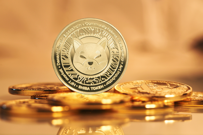 How Meme Culture Drives the Value and Adoption of Digital Coins